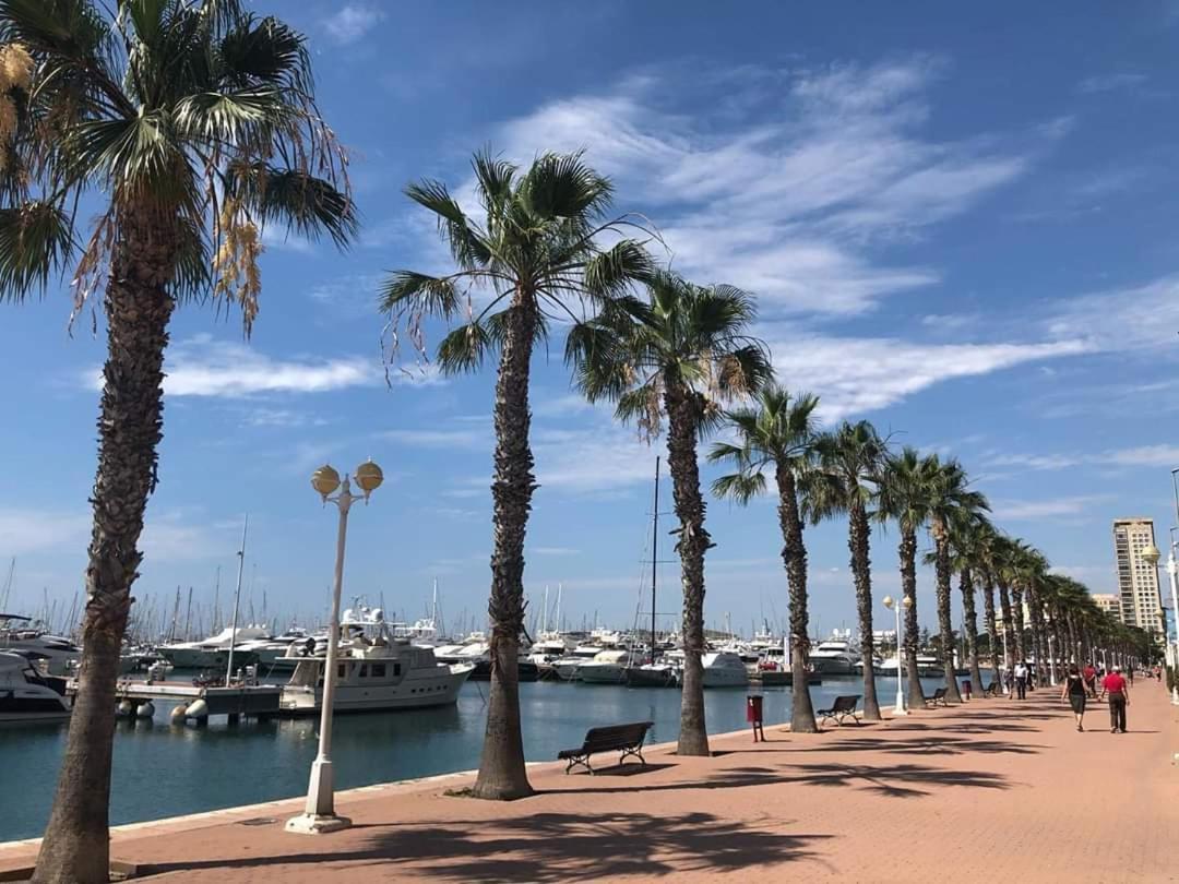 CasaTuris Rambla Méndez Núñez en el corazón de Alicante A109 Exterior foto